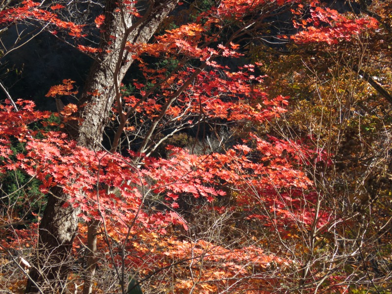 奥久慈・男体山